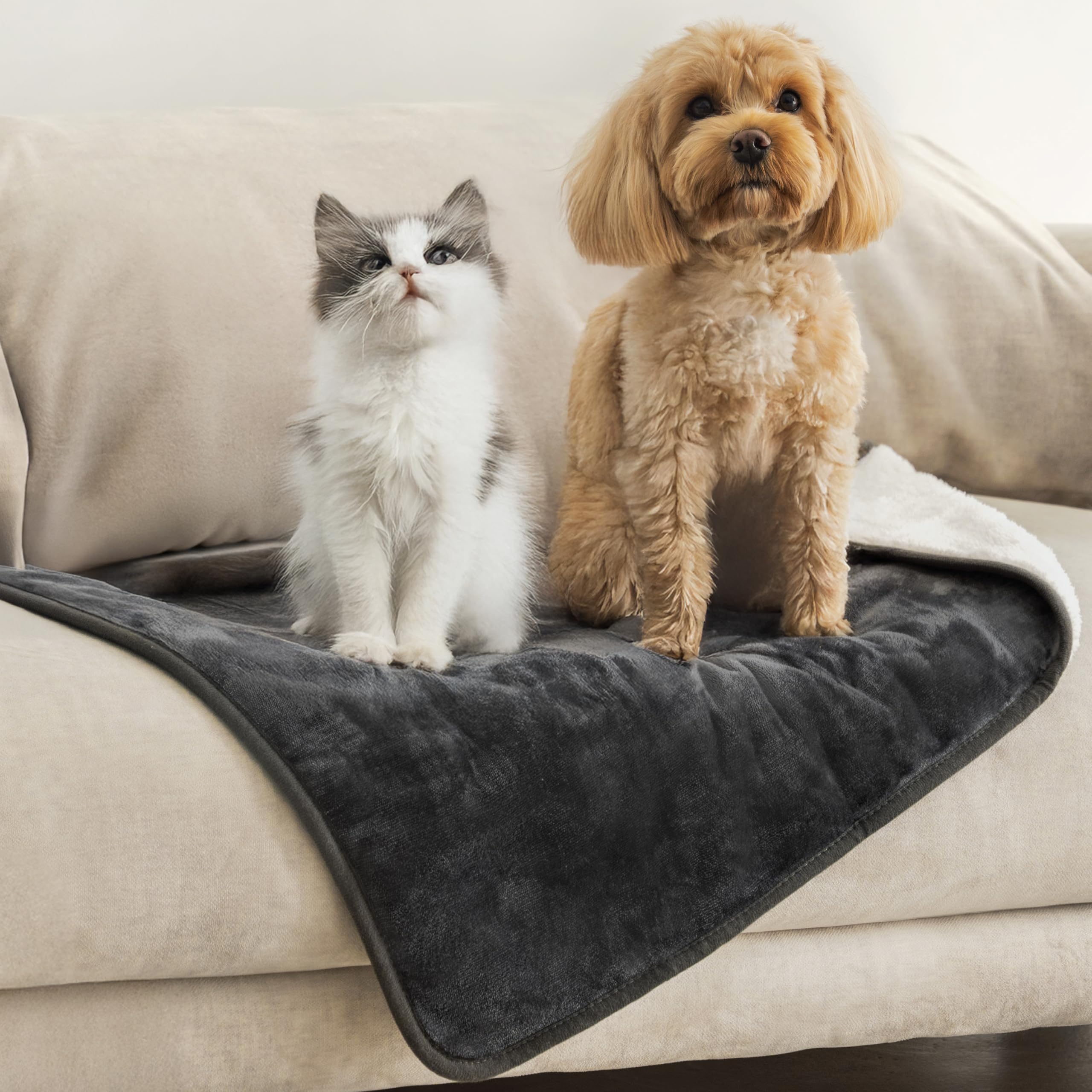 Dreamzie - wasserdichte Decke 63x88 cm - Hundedecke Sofa und Bett - Reversible Decke Wasserdicht aus Sherpa-Fleece - Waschbar - Dunkelgrau