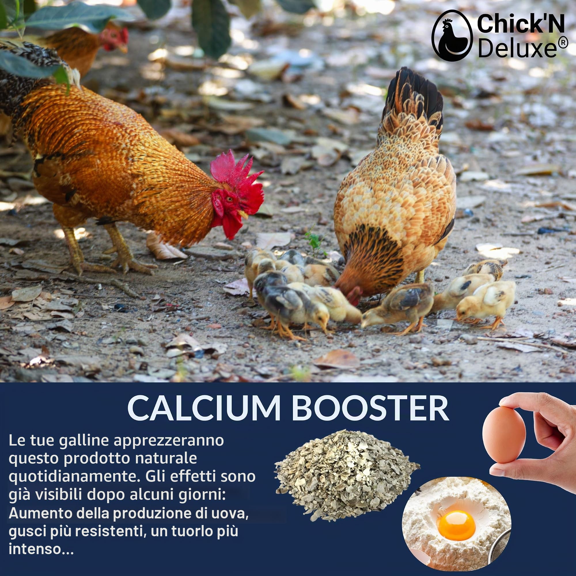 Chick'N Deluxe Calcium Booster 4Kg Gusci Ostrica Galline Ovaiole