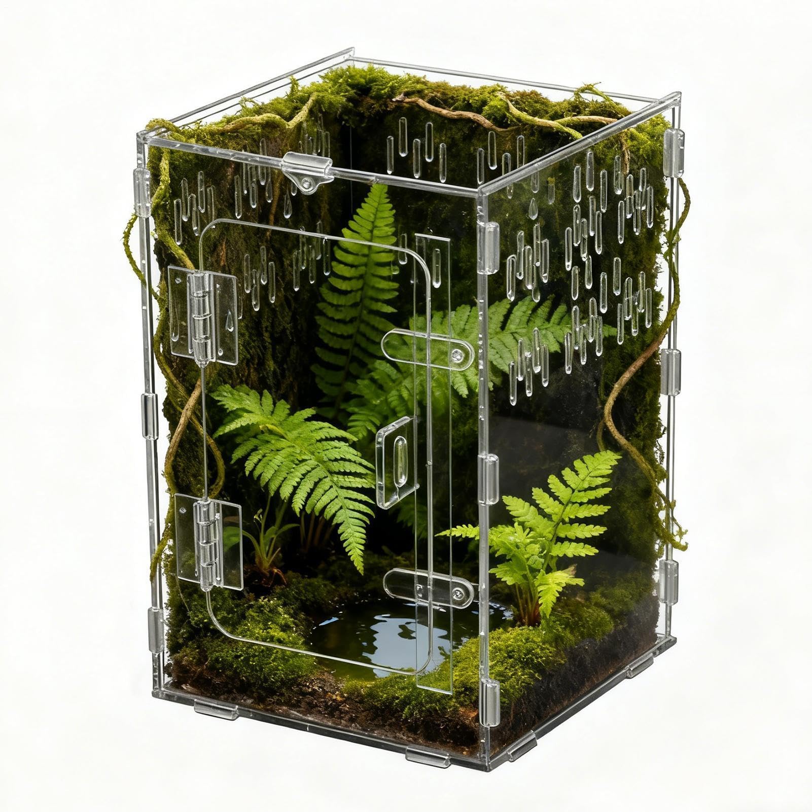 Terrarium pour Araignées - Boîte Habitat en Acrylique Transparent avec Caverne | Terrarium pour Reptiles - Convient pour Tortues, Dragons Barbus, Serpents, Tortues, Geckos, Bernard, Reptiles,