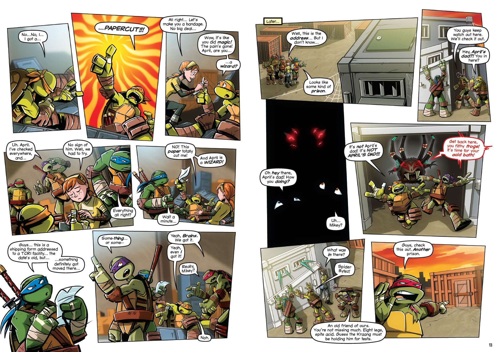 Teenage Mutant Ninja Turtles: The Booyakasha Books, Vol. 1