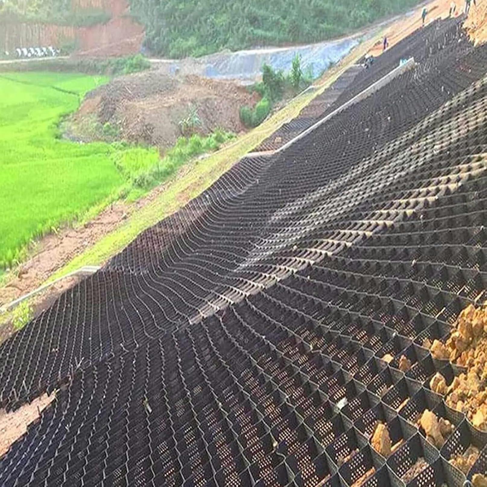 View 7
