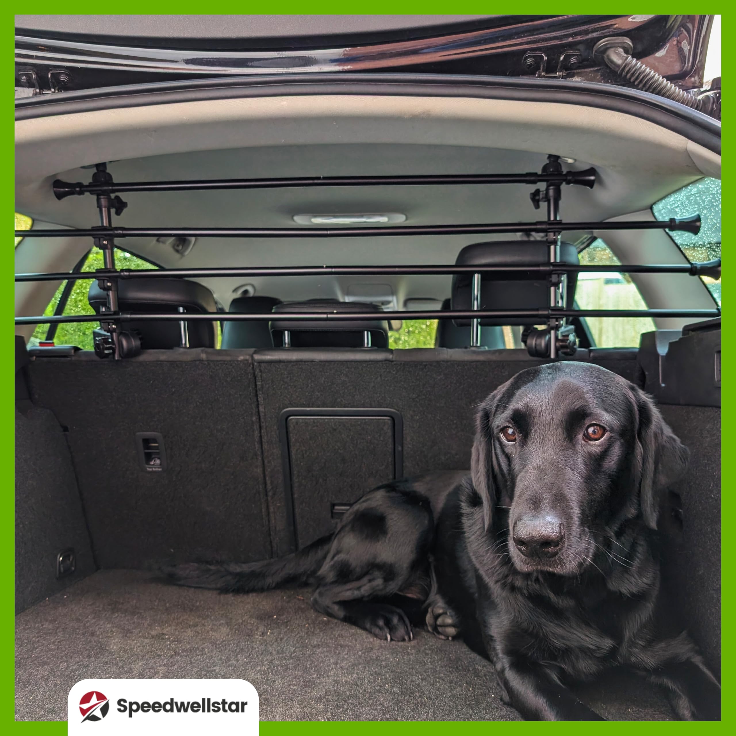 Speedwellstar Griglia Divisoria Cane Bagagliaio Auto Universale Regolabile – Barriera in Metallo Robusta con Fissaggio Poggiatesta – Extra Robusta