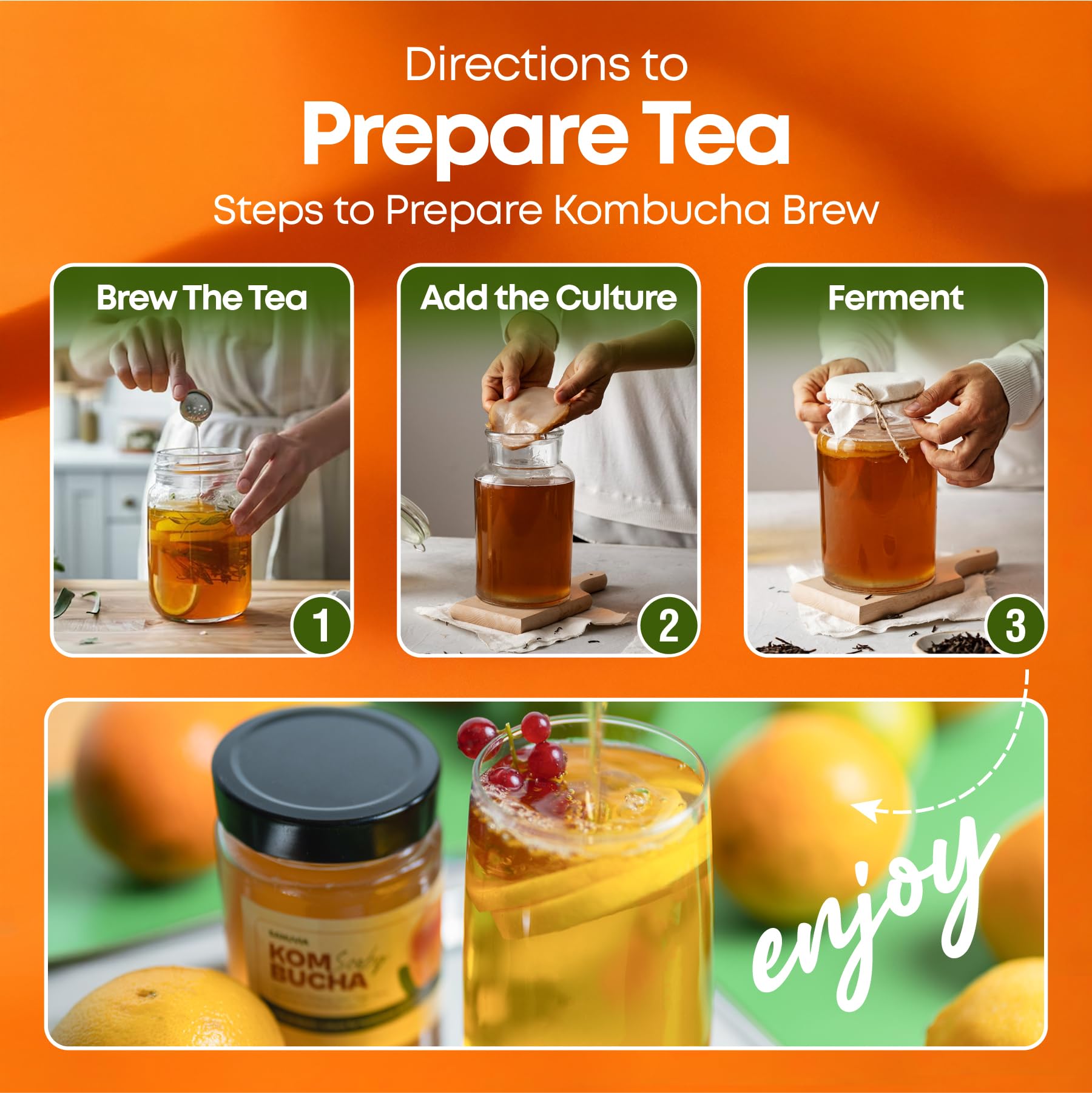 SANUVIA Kombucha SCOBY Starter Culture – Hongo de té con 300 ml de té iniciador en frasco de vidrio – Vegano, cultivo vivo, reutilizable
