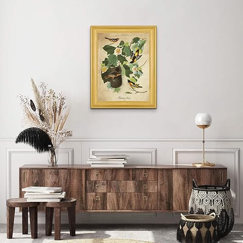 Vista 363 de Towee Bunting by James Audubon - Marco biselado negro de 12 x 16 pulgadas, decoración artística enmarcada para pared, reproducción de pinturas