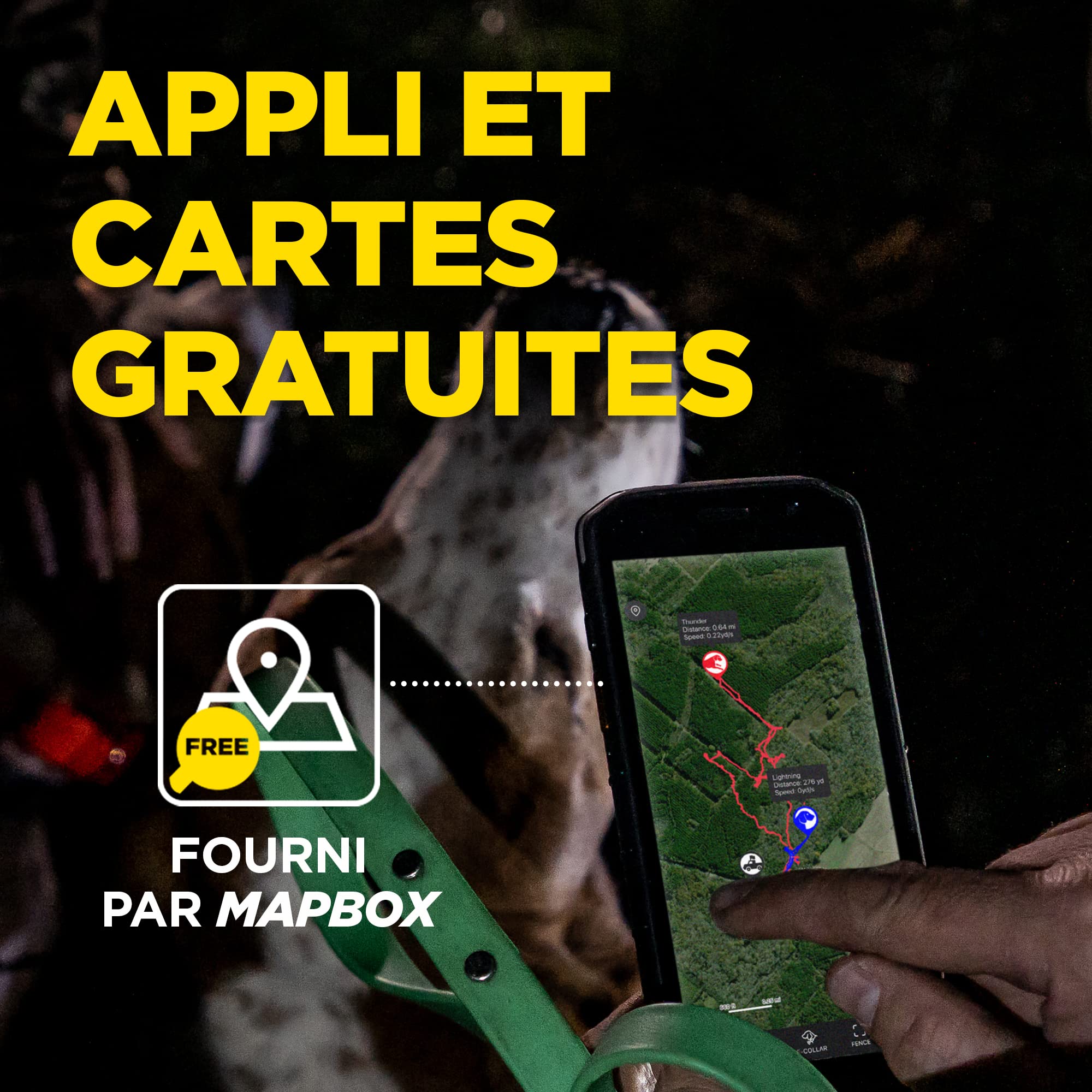 Dogtra Pathfinder 2 Collier de Repérage GPS & Dressage rechargeable, Lumière LED, Application Gratuite et sans Abonnement, Étanche IPX9K, Fonctions de dressage, Portée 10 km, Évolutif jusqu'à 21 Chien