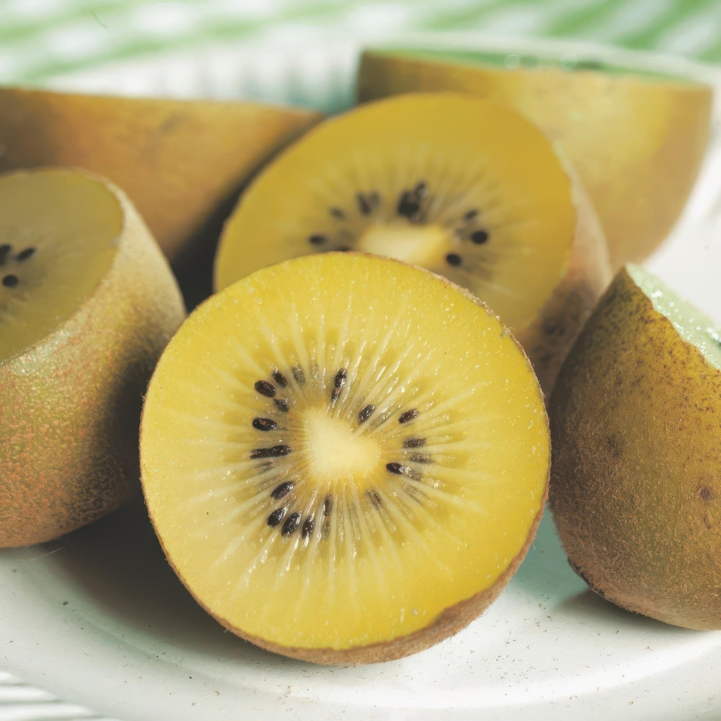Actinidia Weiki & Golden Kiwi - Planta de Kiwi - 1 Macho - 3 Hembras - Plantas - Amarillo - 40-50cm - Ø15cm - Planta de jardín - Verduras y frutas