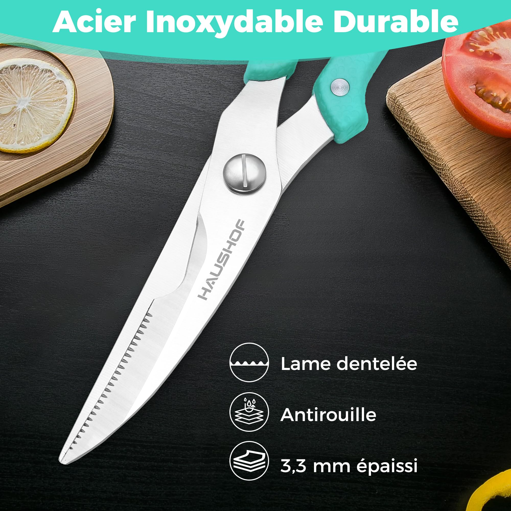 HAUSHOF Ciseaux à Volaille Robustes 255 mm, Ciseaux de Cuisine Professionnels en Acier Inoxydable Robustes et Tranchants pour Poulet, Viande, Poisson, Os et Légumes