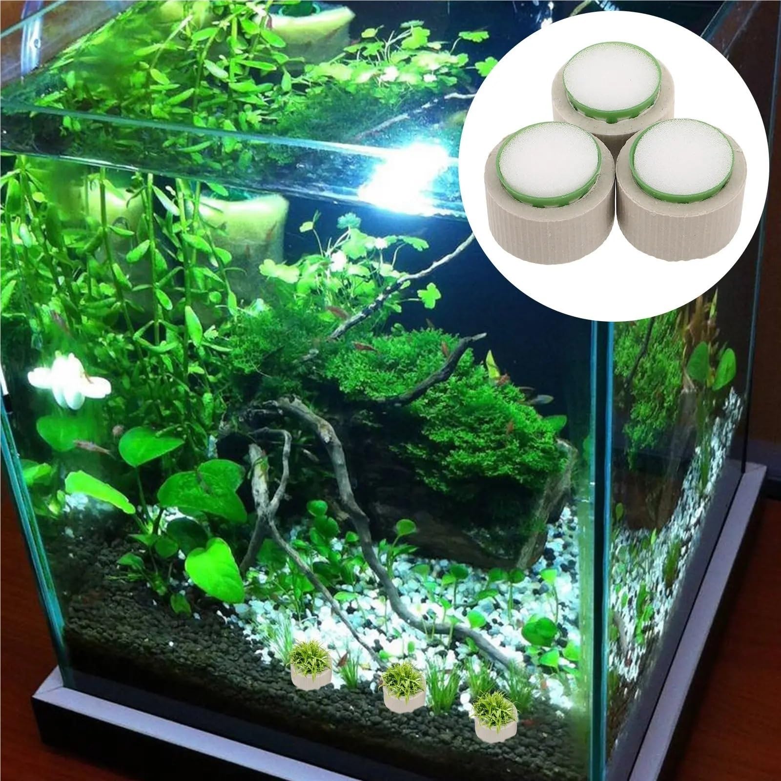 9 Stück Wasserpflanzen-Festringe Aus Keramik Für Aquarium