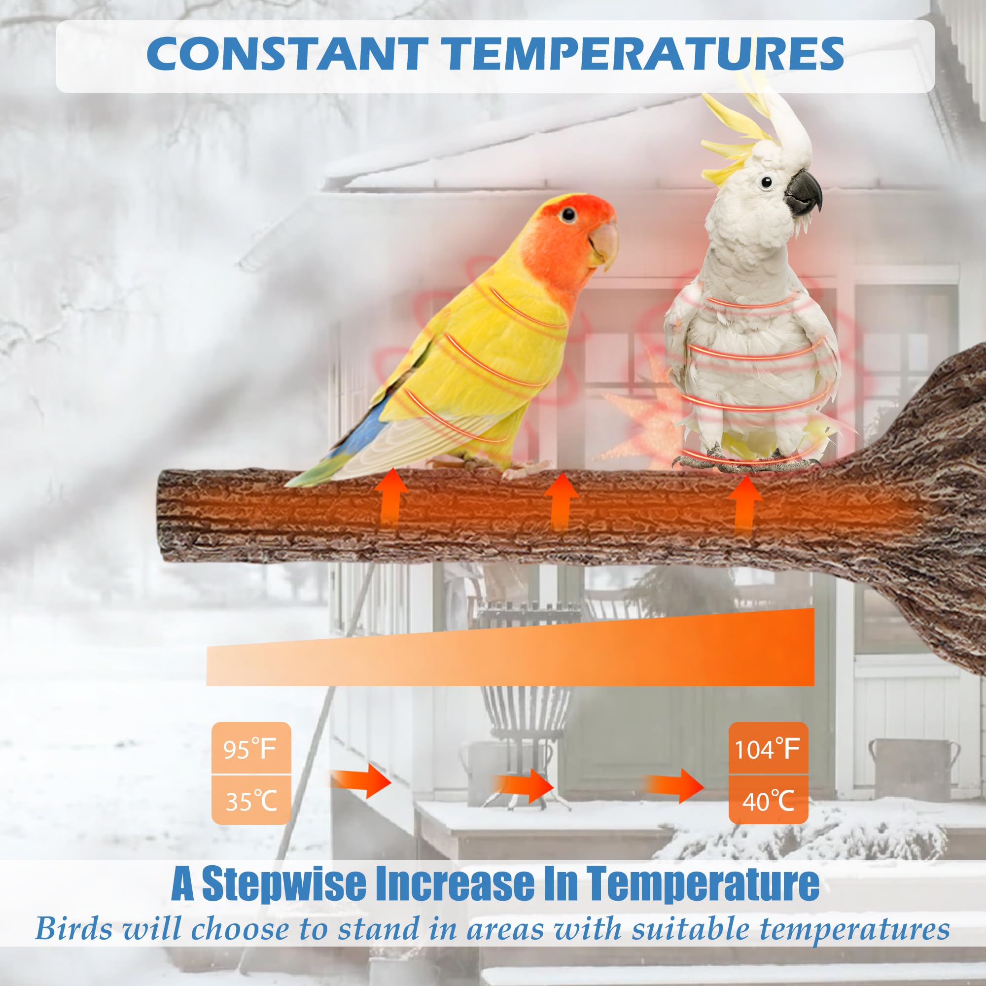 Beheizte Vogelstange für Käfig, Winter, 37,8 °C - 40,6 °C, konstante Temperatur, Vogelheizung für Papageien, Sittiche, Nymphensittiche, kleine Vögel