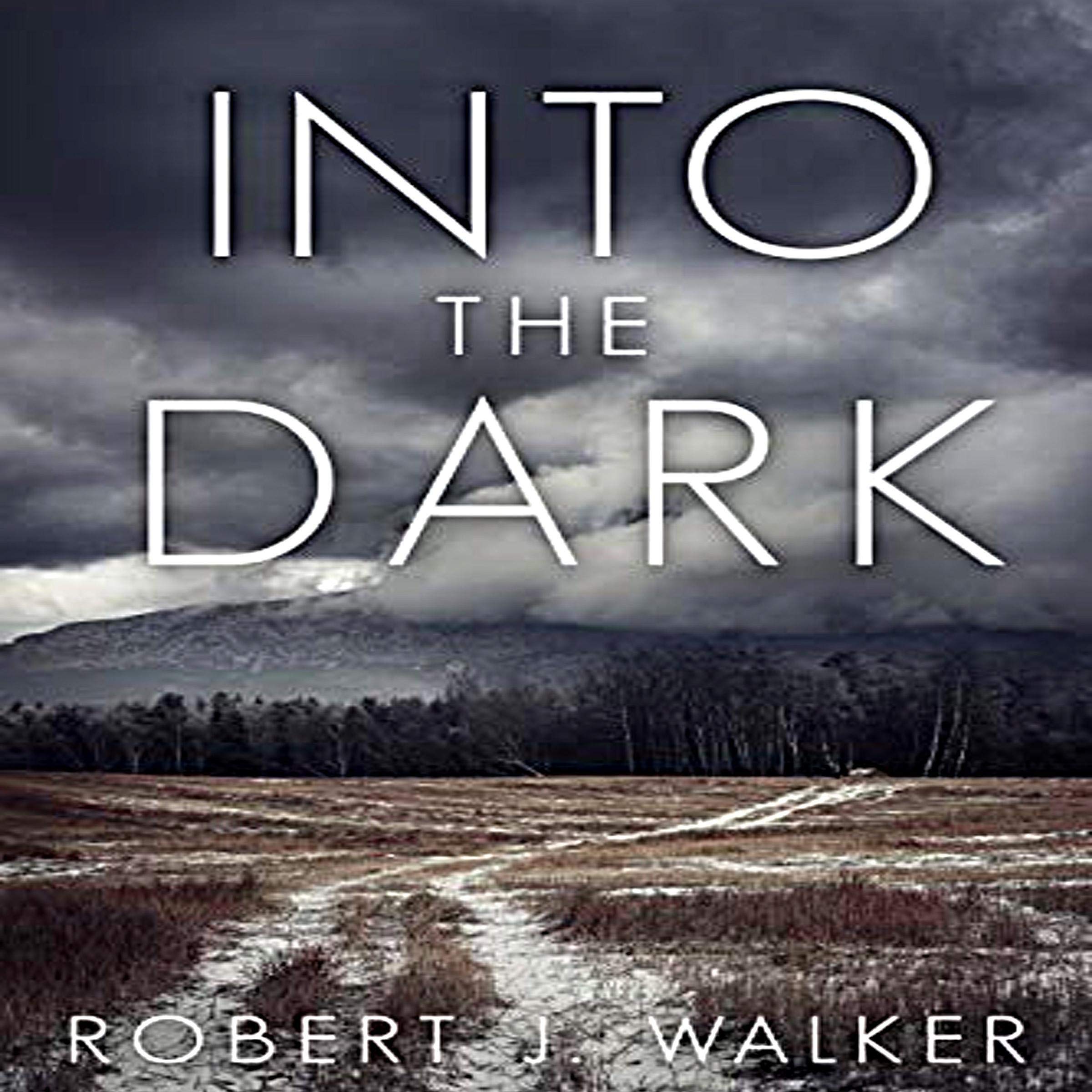 Cover art for Into the Dark: EMP Survival in a Powerless World, Book 24