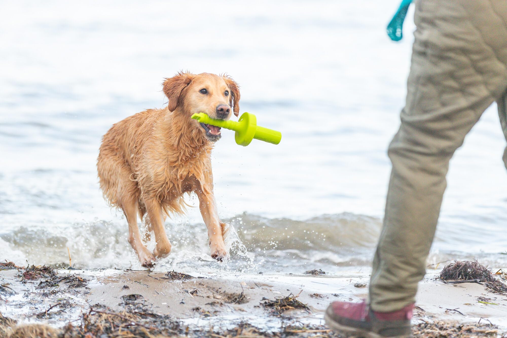 TRIXIE aqua Toy Mot-Aqua jouet aquatique flottant pour chien, 29 cm – jouet pour lancer & rapporter, idéal pour jouer dans l'eau & stimuler l'activité physique