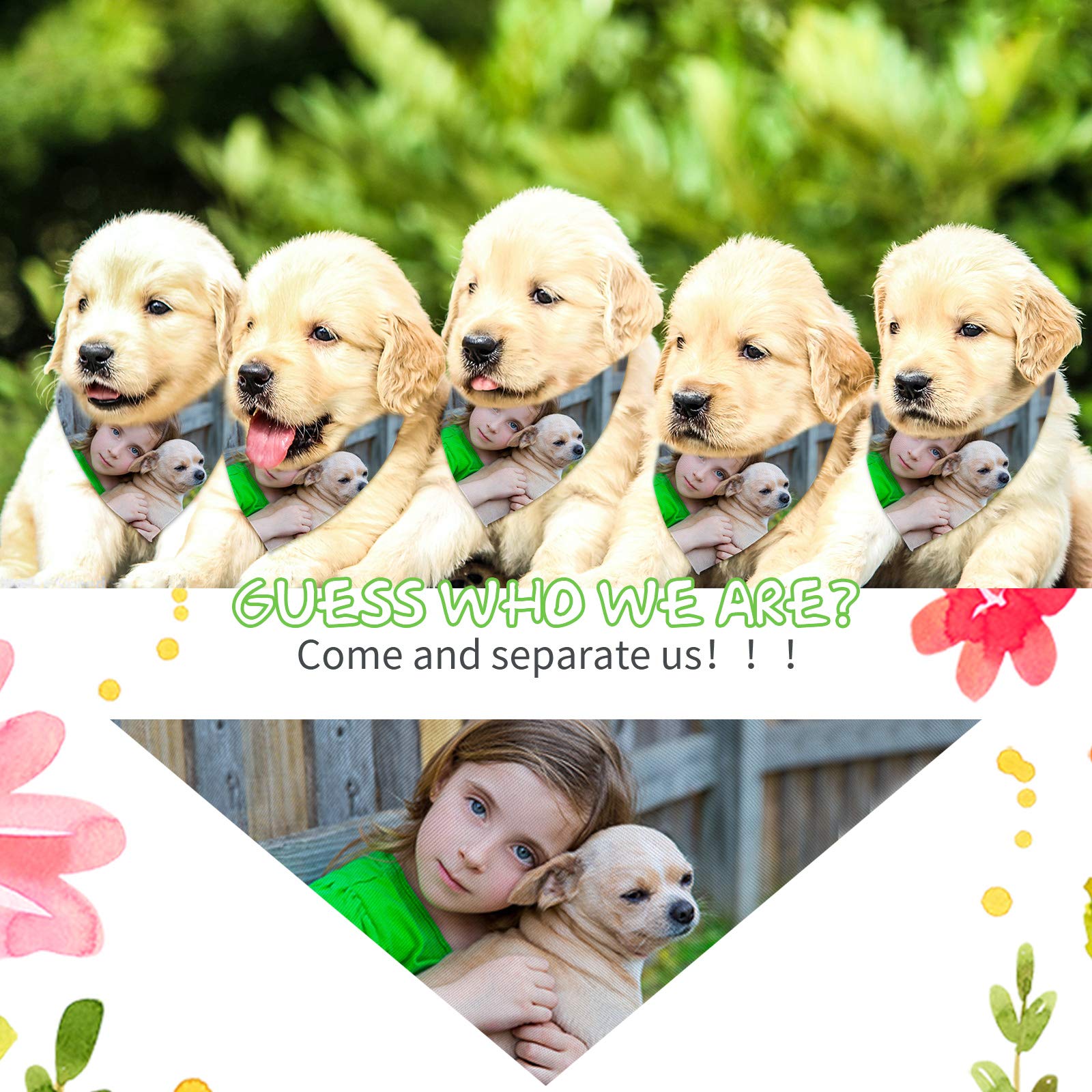 36 Bandanas Vierges pour Chiens par Sublimation Bandanas pour Animaux de Compagnie Blanc Uni Écharpe Triangle Chien Bavoirs Triangulaires en Polyester pour Animaux de Compagnie