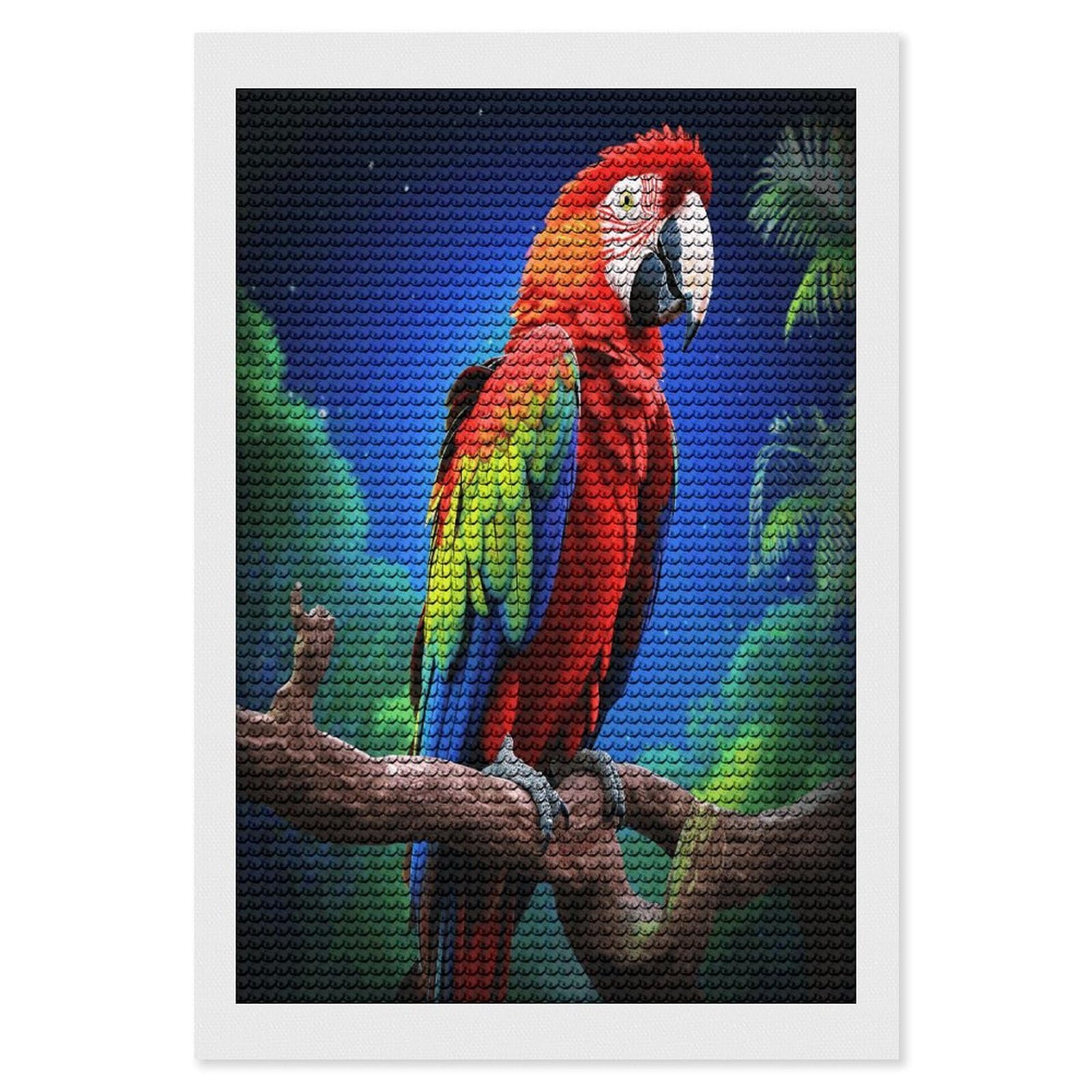 JTREHY Parrot Diamond Art Kits Personalized DIY Round Diamond Painting Kits for Beginner Full Drill Diamonds Dots Paintings for Adults Gem Art Crafts Home Decor