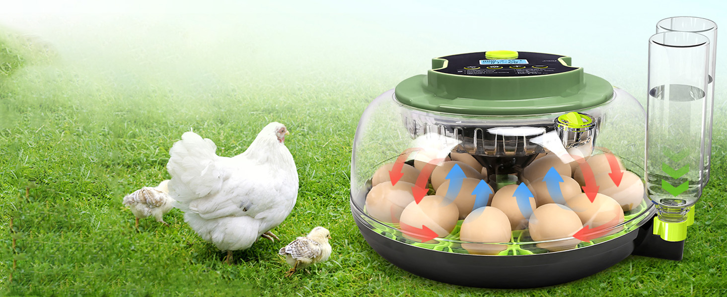 APODESS 18 Chicken Egg Incubator, Incubators for Hatching Eggs