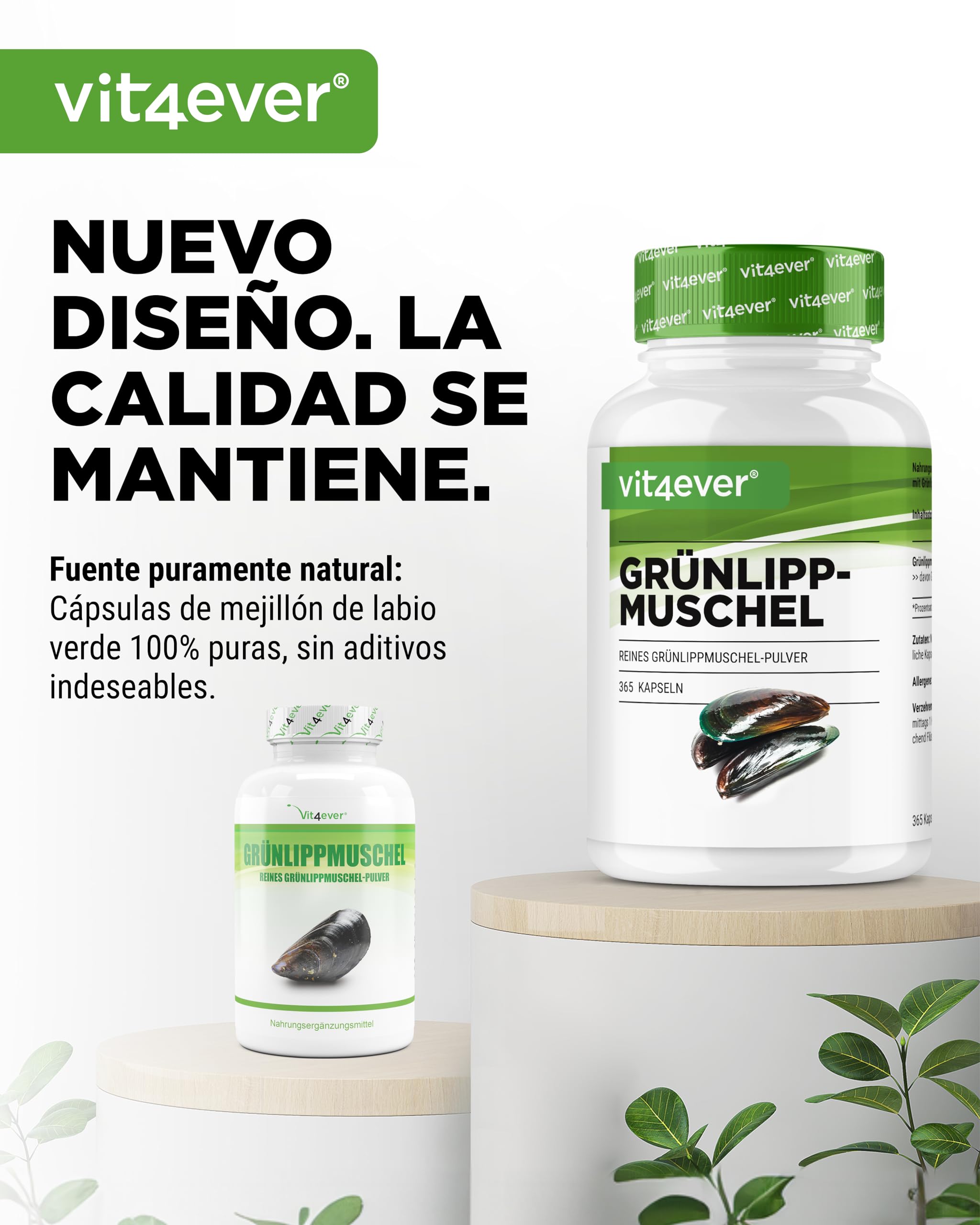Mejillón de labio verde - 365 cápsulas de 600 mg cada una - Con glicosaminoglicanos - Extracto altamente dosificado - 100% polvo de mejillón de labio verde de Nueva Zelanda sin aditivos