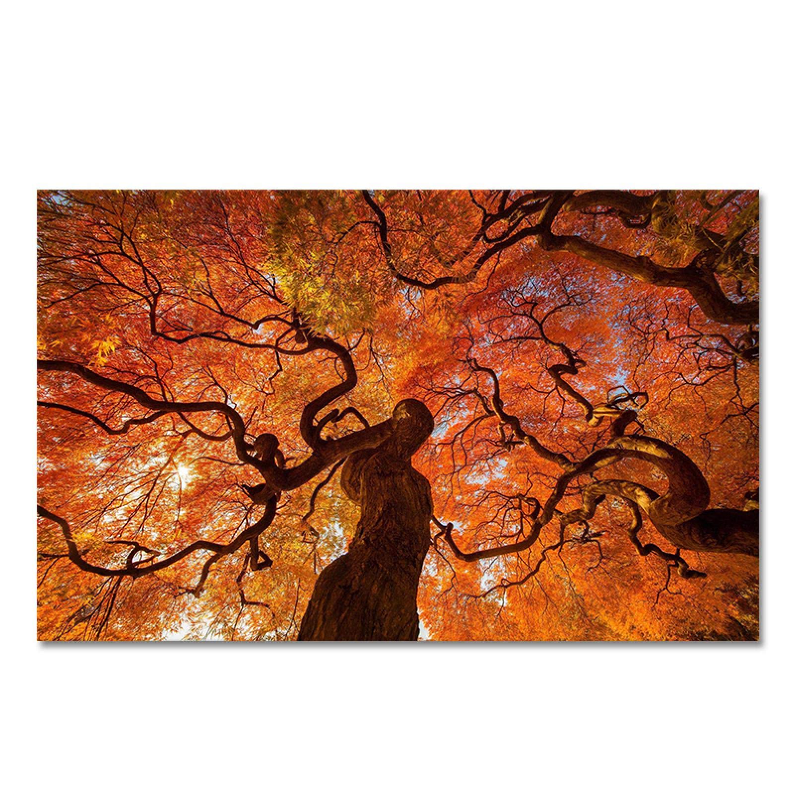 Amazon.co.jp: 秋の装飾 自然の木 秋の紅葉 風景 ウォールアート