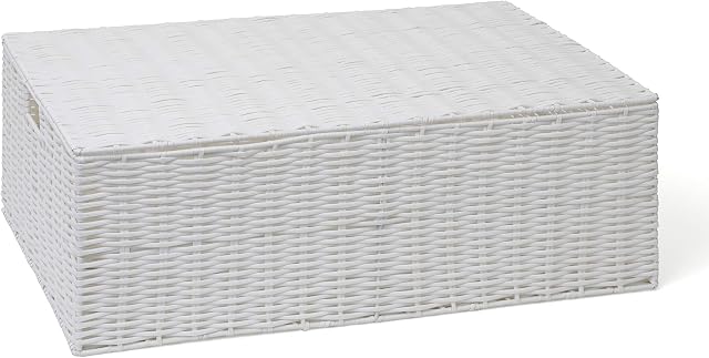 Arpan Resin Woven Under Bed Storage Box, Chest Shelf Toy Clothes Basket With Lid - White (Large)