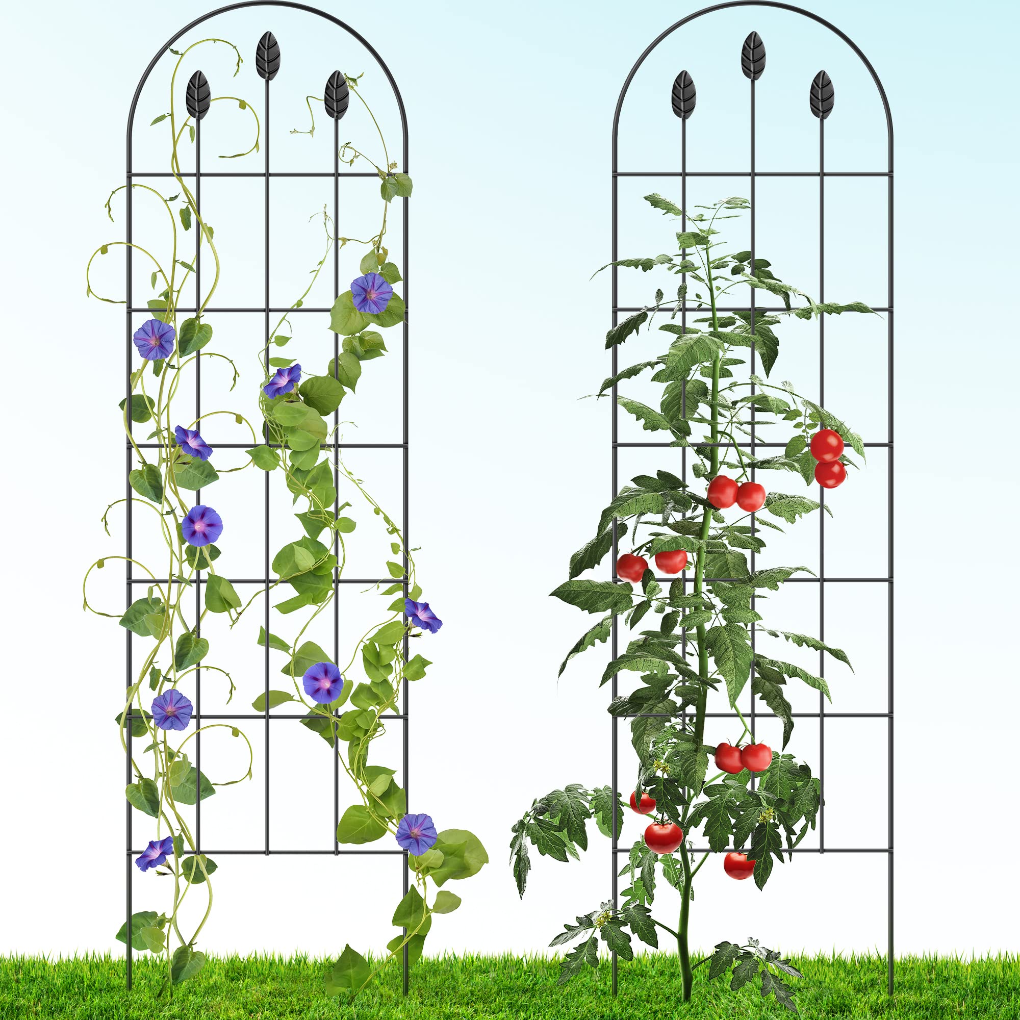 Garden Metal Trellis for Climbing Plants Indoor - 2 Pack, 60" x 16" Plant Support, Rust Proof Tall Trellis for Roses, Tomato, Cucumber - Leaf Design