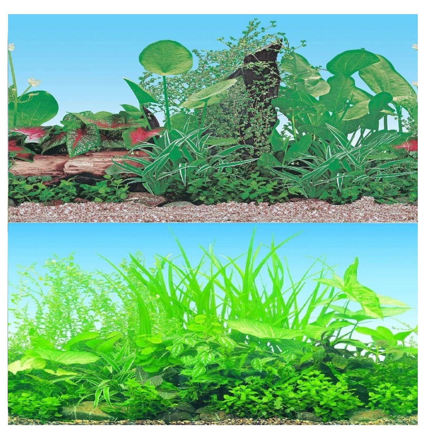 Hidom Aquarium Background Poster Double Sided - Height 19" / 50cm - Length 8 FT / 244cm - Two Scenic Pictures displaying Aquatic Backdrops - DS 500-9011/9051-8