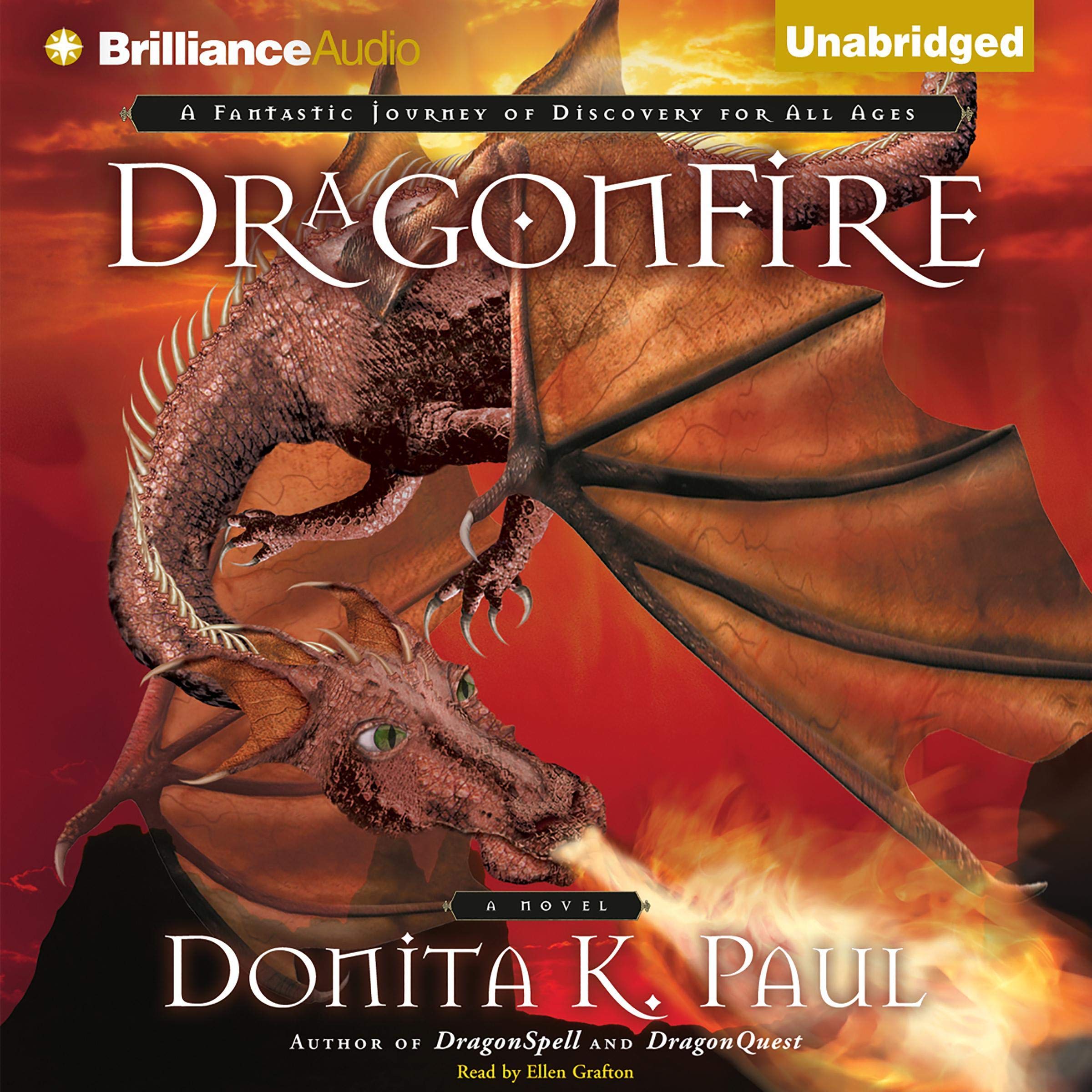 Cover art for DragonFire