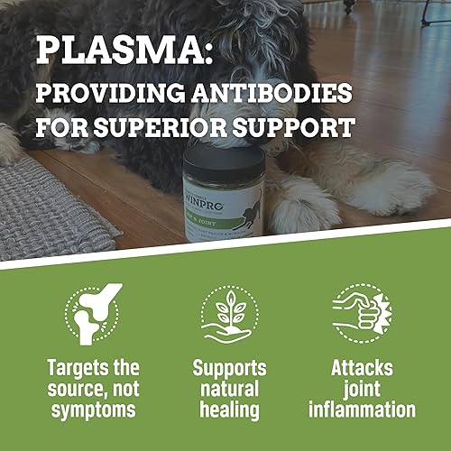 Miniatura 3 de WINPRO  Suplemento de cadera y articulaciones para perro, masticables impulsados por plasma para apoyo articular en perros de todas las razas y