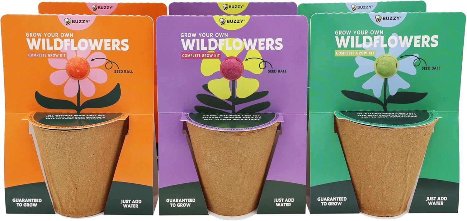 BUZZY Seeds Wildflower Seed Ball Cup 6-Pack – Over 50 Seeds Per Ball, Colorful Decorative Seed Balls in Biodegradable Cups with Growing Medium – Indoor Gardening Gift Set