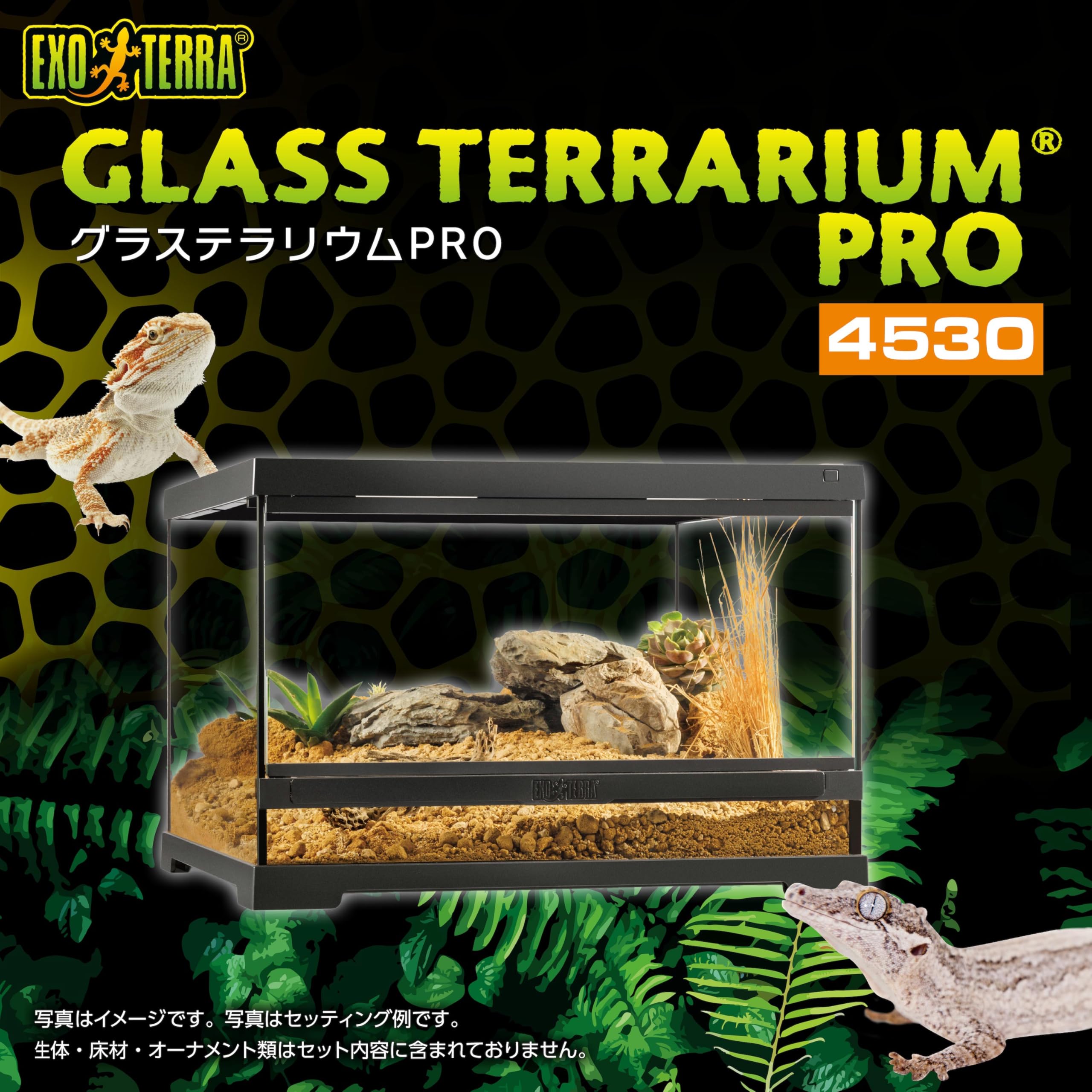 Amazon.co.jp: エキゾテラ EXOTERRA グラステラリウムPRO4530 PT4403