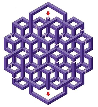 Everyday Book Box セット Amazon.co.jp: Everyday Book Box/ Red, Grades K-1