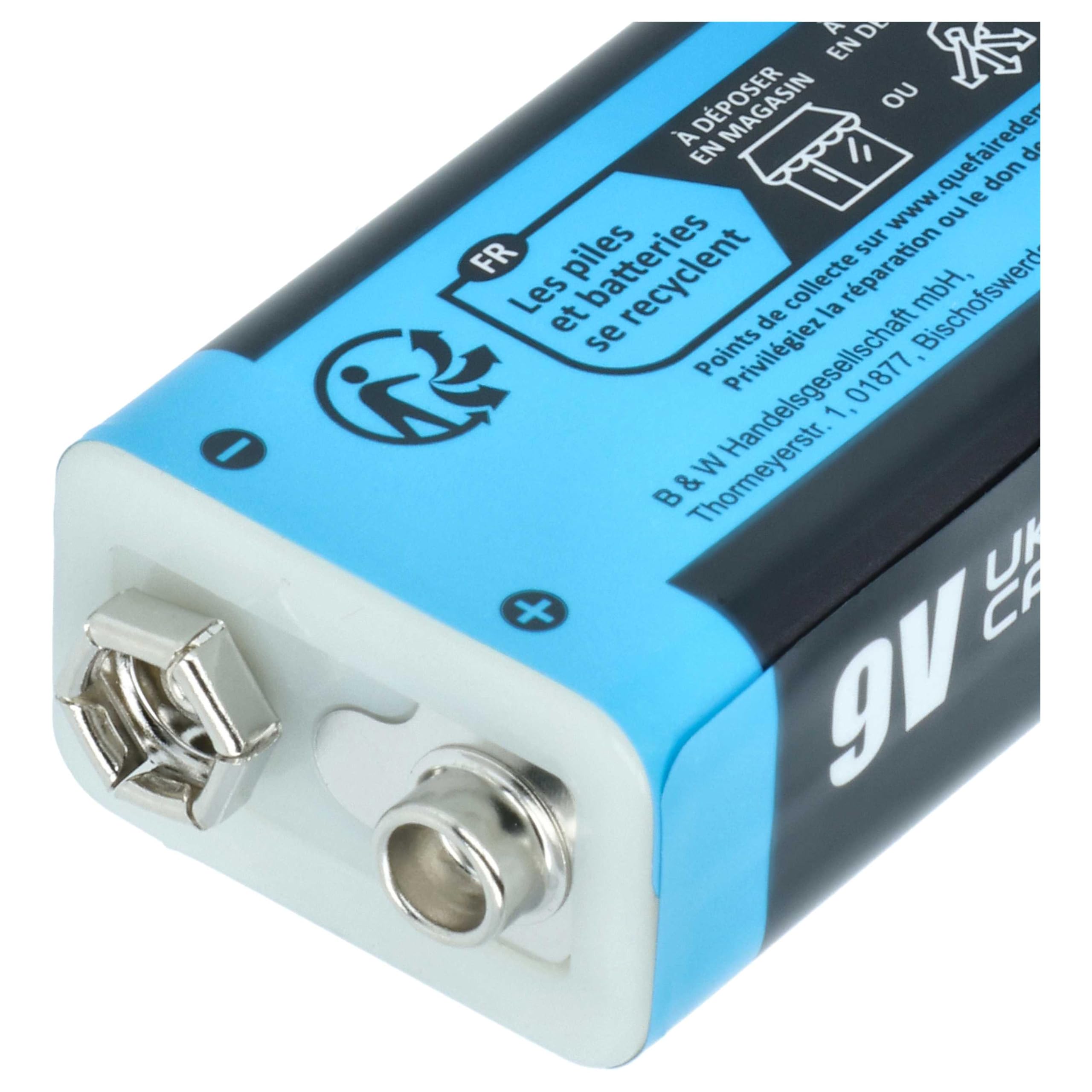 10x Piles Bloc Batterie 9V pour Divers appareils (1Ah, 9V, Li-ION), prête à l'emploi, avec Micro-USB