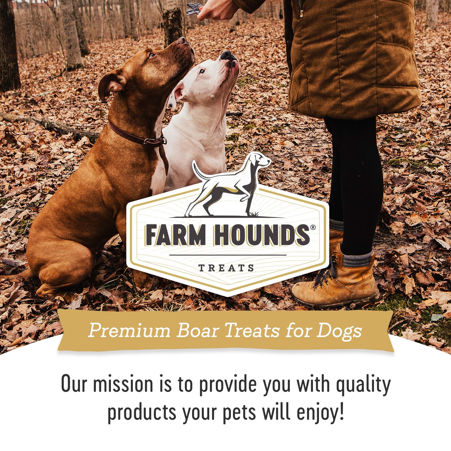 Farm Hounds - Boar Trainers - Premium Natural Jerky for Dogs - from 100% Humanely Raised Boar - Easy-Break - Great for Training & Treats - No Added Fillers - Made in USA - 4.5 oz - 1 Pack - image 7