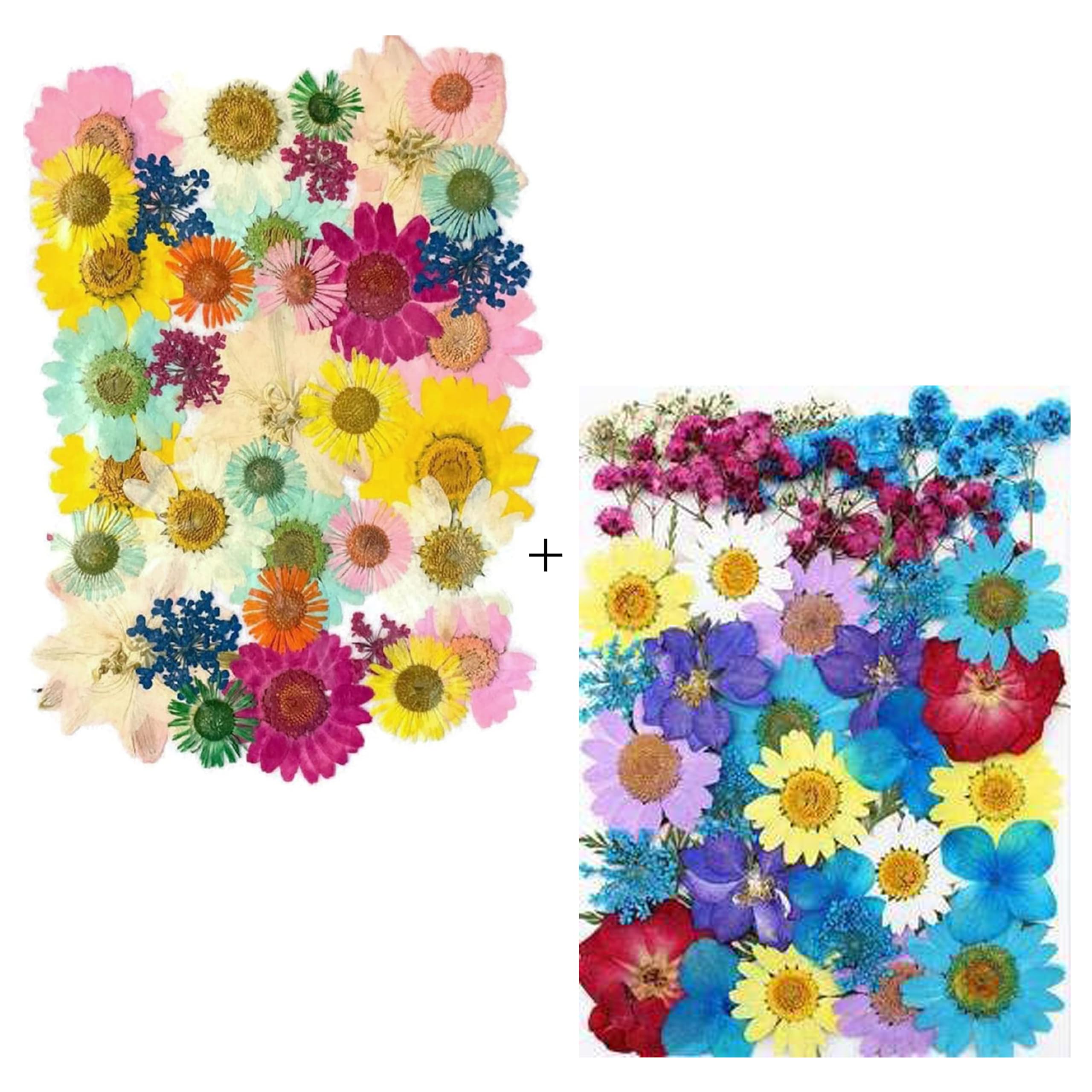 Dried Pressed Real Flowers Colorful Natural Dried Flowers Daisies for Candles Handmade Crafts Epoxy DIY Resin Pendant Jewellery Accessories Nail Art - Mix Theme + Blue Theme (2 Packs)-image-8