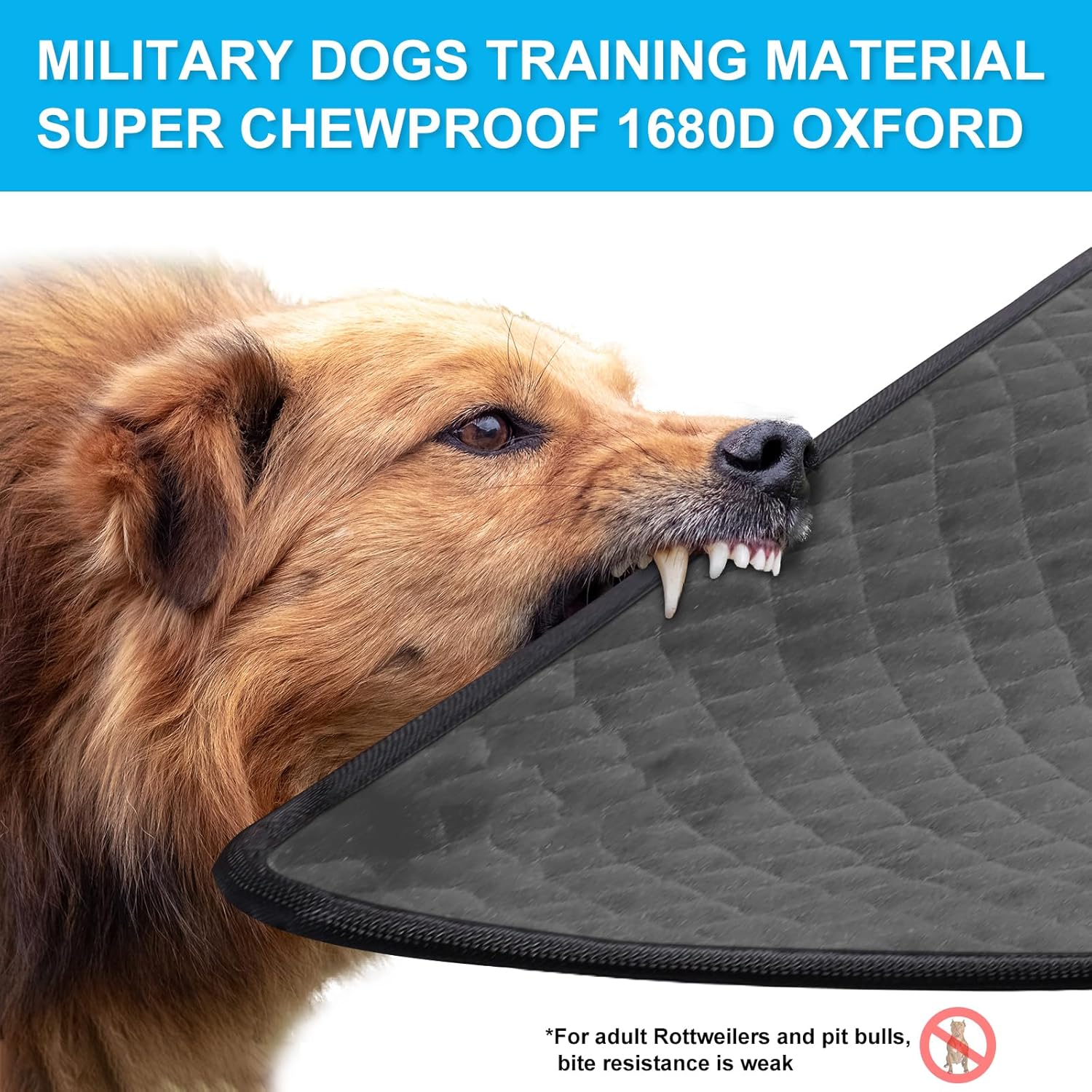 Ultimate Protection: The Indestructible Dog Crate Bed for Aggressive Chewers