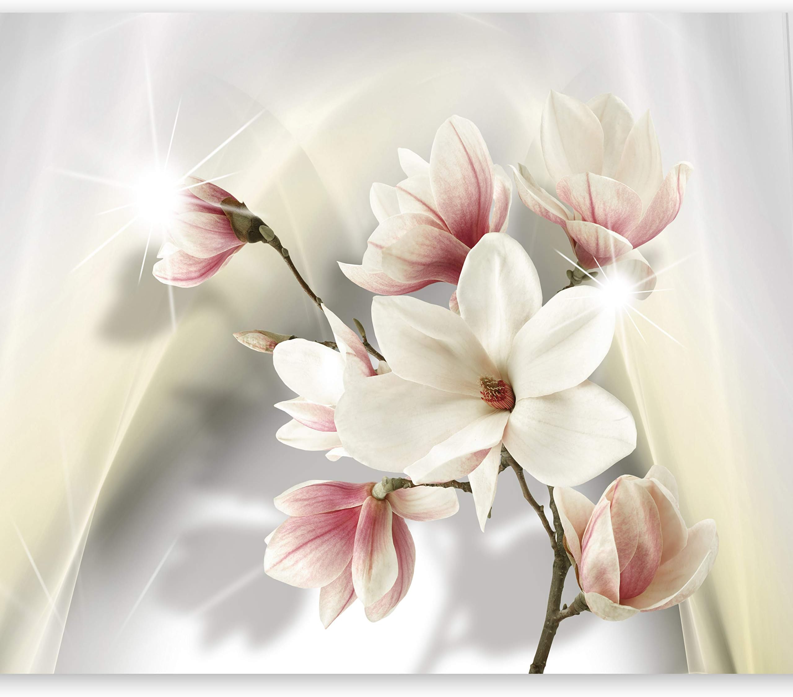 Fototapete Blumen Rosen Vlies Tapete Schlafzimmer 300X210 Cm | HORNBACH
