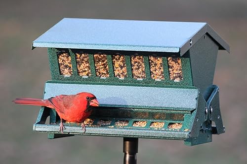 Miniatura 2 de Woodlink Absolute II - Comedero para pájaros resistente a ardillas, modelo 7536, 12 libras, modelo 301045