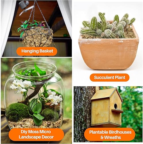 Miniatura 6 de Sukh Musgo de esfagnum para plantas de 20 onzas, musgo de turba de esfagno, musgo seco natural de fibra larga para orquídeas, suculentas,