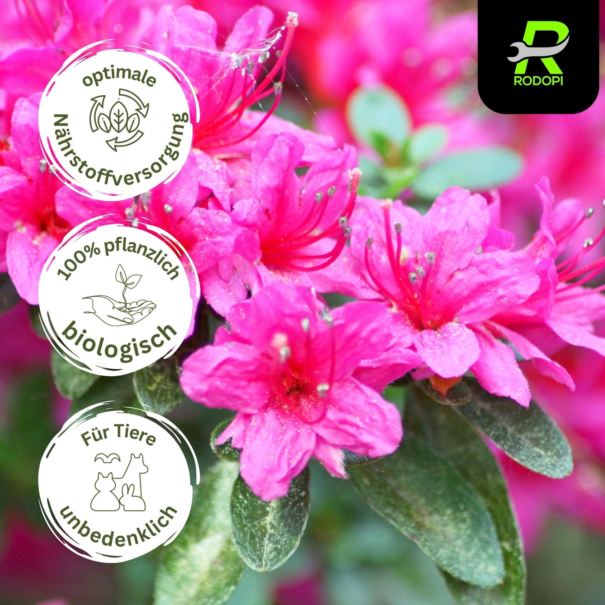 Rodopi Bio-Rhododendrondünger Granulat 7-3-8 – 3 Monate Langzeitwirkung – 100% pflanzlich & pH-senkend – Organischer NPK-Dünger mit Eisen, Magnesium & Mykorrhiza 7kg