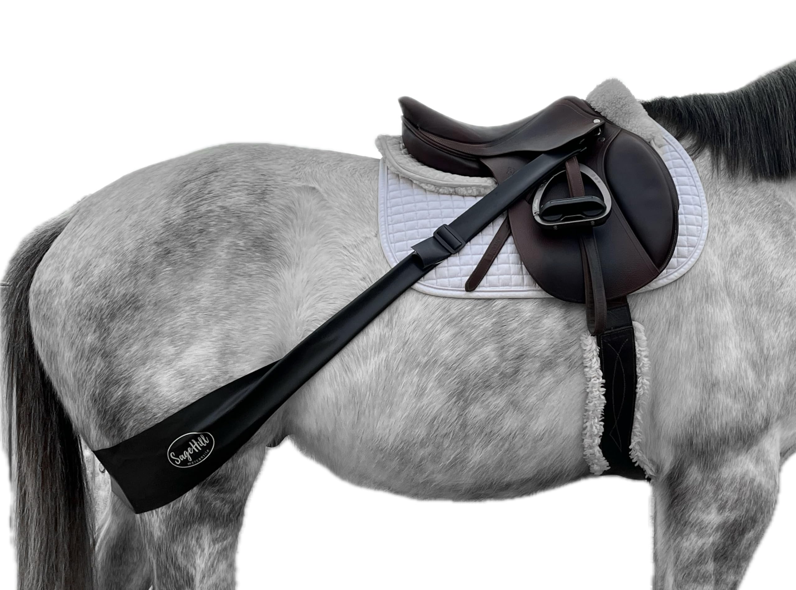 Equine Fitness Band for Horses | Lunging Band | Fully Adjustable | English and Western | Clips to Saddle or Surcingle | Encourages Hind End and Topline Development