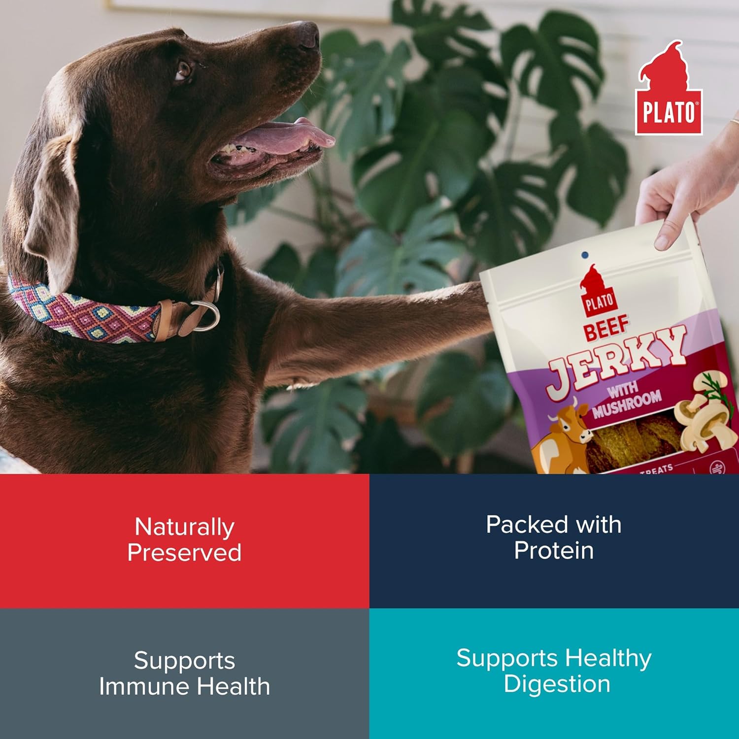 PLATO Pet Treats Jerky Dog Treats - Air-Dried Beef Jerky with Mushroom - Grain Free, High Protein - 16oz