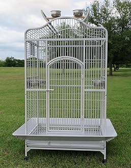 2 Color, Extra Large Wrought Iron Dome Top for Macaw Goffin's Cockatoo Cockatiels African Grey Amazon Parrots Green Cheek Conures Caique Bird Cage with Rolling Stand