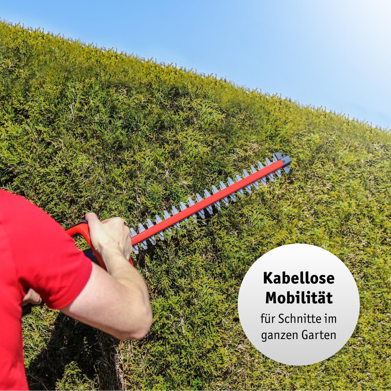WALTER Li-Ion Akku-Heckenschere 20V, 45cm Schnittlänge | Zusatzhandgriff, Komfortables Arbeiten, schneidet präzise und ordentlich,Scharfes Metall Messer,längere Gartenarbeit geeignet