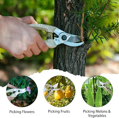 Miniatura 7 de Goture Tijeras de jardín SK5, tijeras de podar para jardinería, tijeras de jardín SK5, herramientas de tijeras de jardín beige