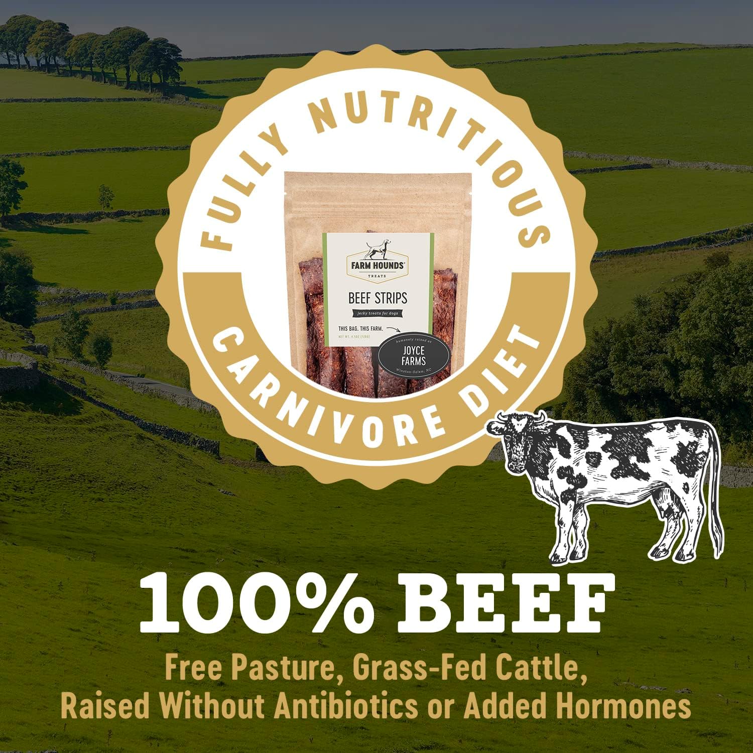 Farm Hounds - Beef Strips - Premium Natural Beef Jerky for Dogs - 100% Humanely Raised Cattle - Break-to-Size - Great for Training & Treats - No Added Fillers - Made in USA - 1 Pack