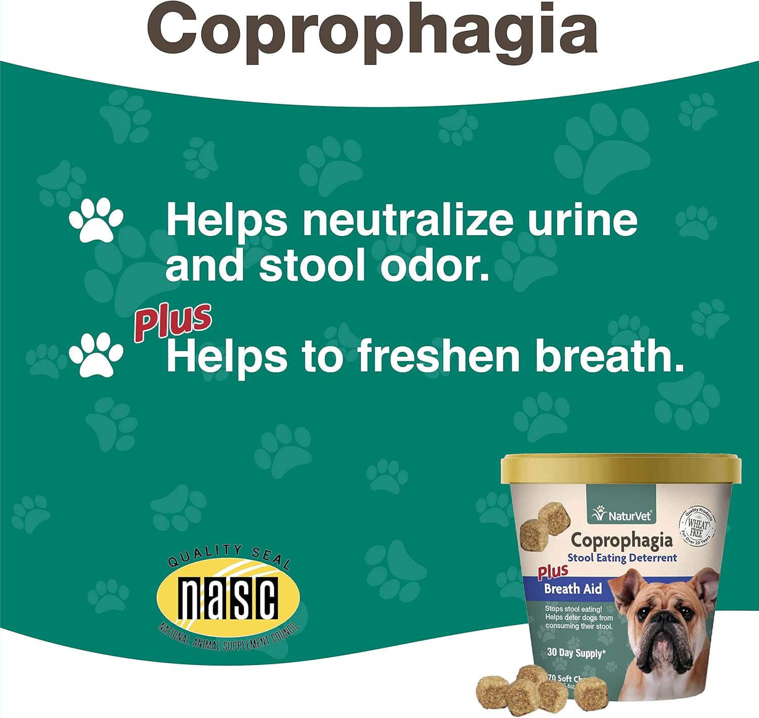 stool deterrent for dogs