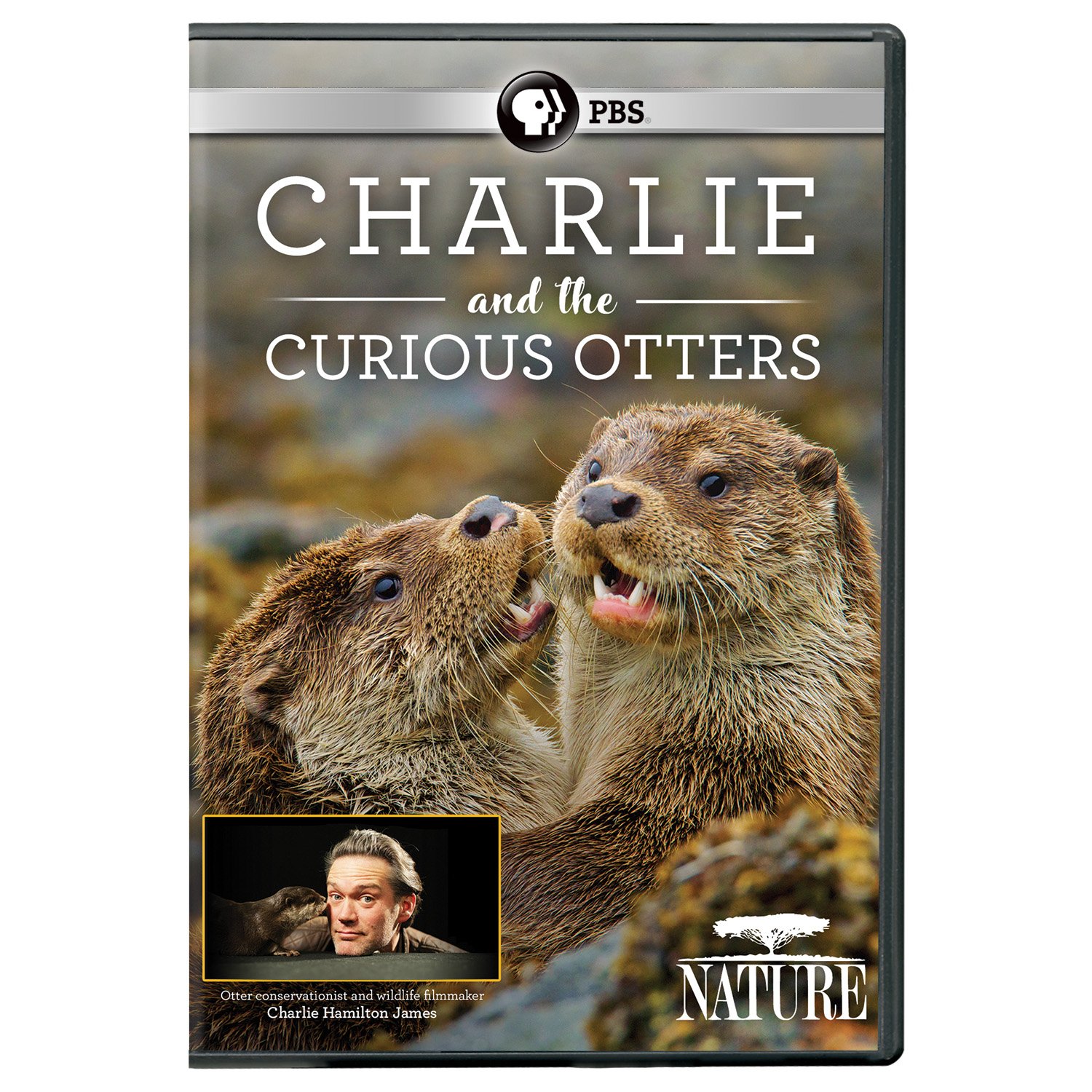 Amazon.com: NATURE: Charlie and the Curious Otters DVD : n/a, Mark