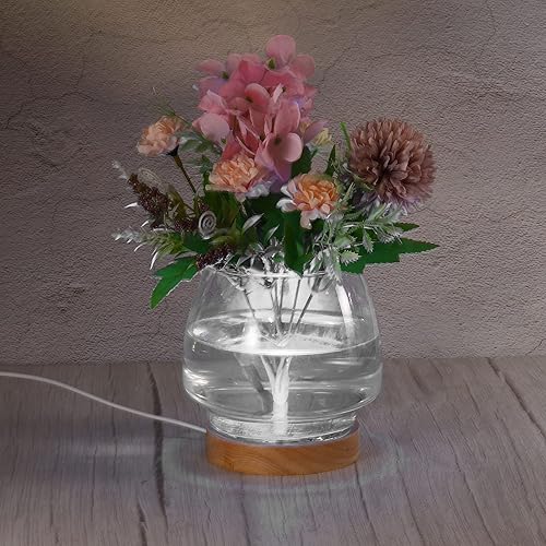 Miniatura 5 de PATIKIL Base de luz LED de madera de 4 pulgadas, base de exhibición de luz de madera con interruptor para arte de resina de cristal 3D, blanco frío