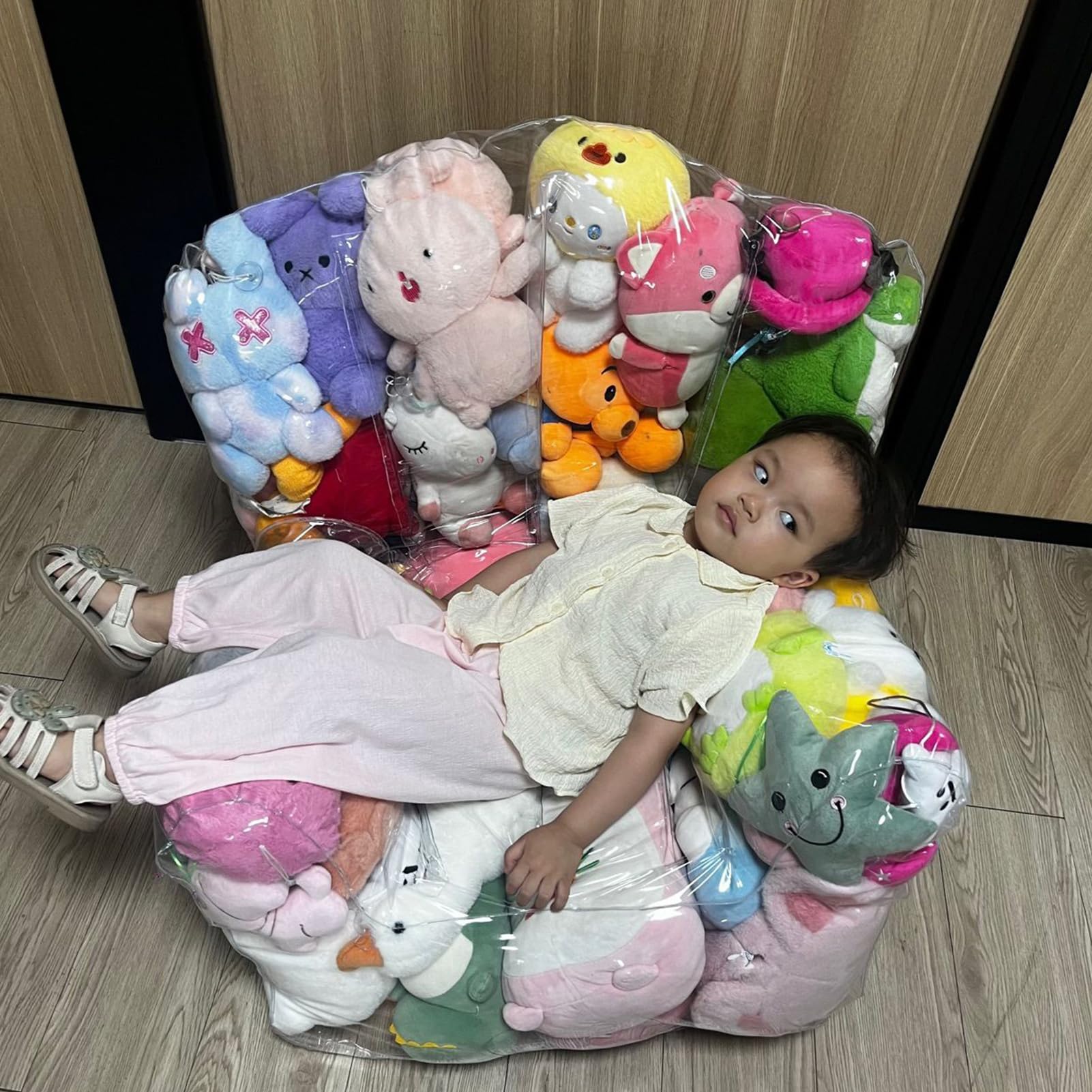 Rangement Peluche Transparent pour Animaux en Peluches, Housse De Pouf Fauteuil Enfant pour Tout-Petits Chaise Transparente pour Organiser Et Ranger Les en Peluche, PVC Imperméable