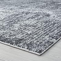 Vista 7 de Tayse Myer Grey - Alfombra rectangular para salón dormitorio o comedor 31 x 39in color gris