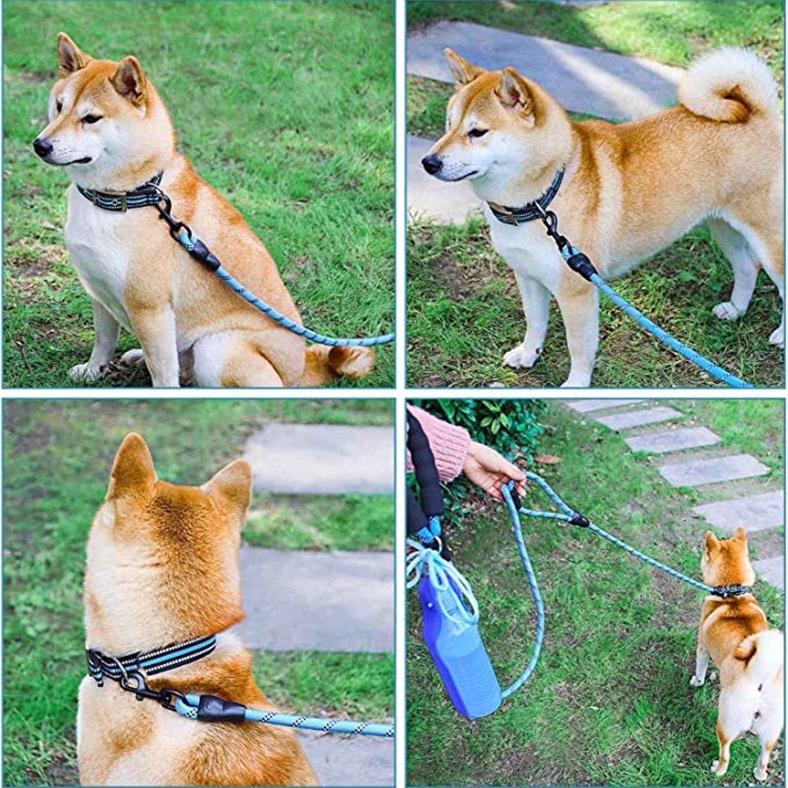 Dieffematic GS Pettorina per cani 150/180 CM nuova corda da passeggio per cani con doppia maniglia in nylon riflettente corda rotonda per cani corda di trazione guinzaglio per cani forniture per