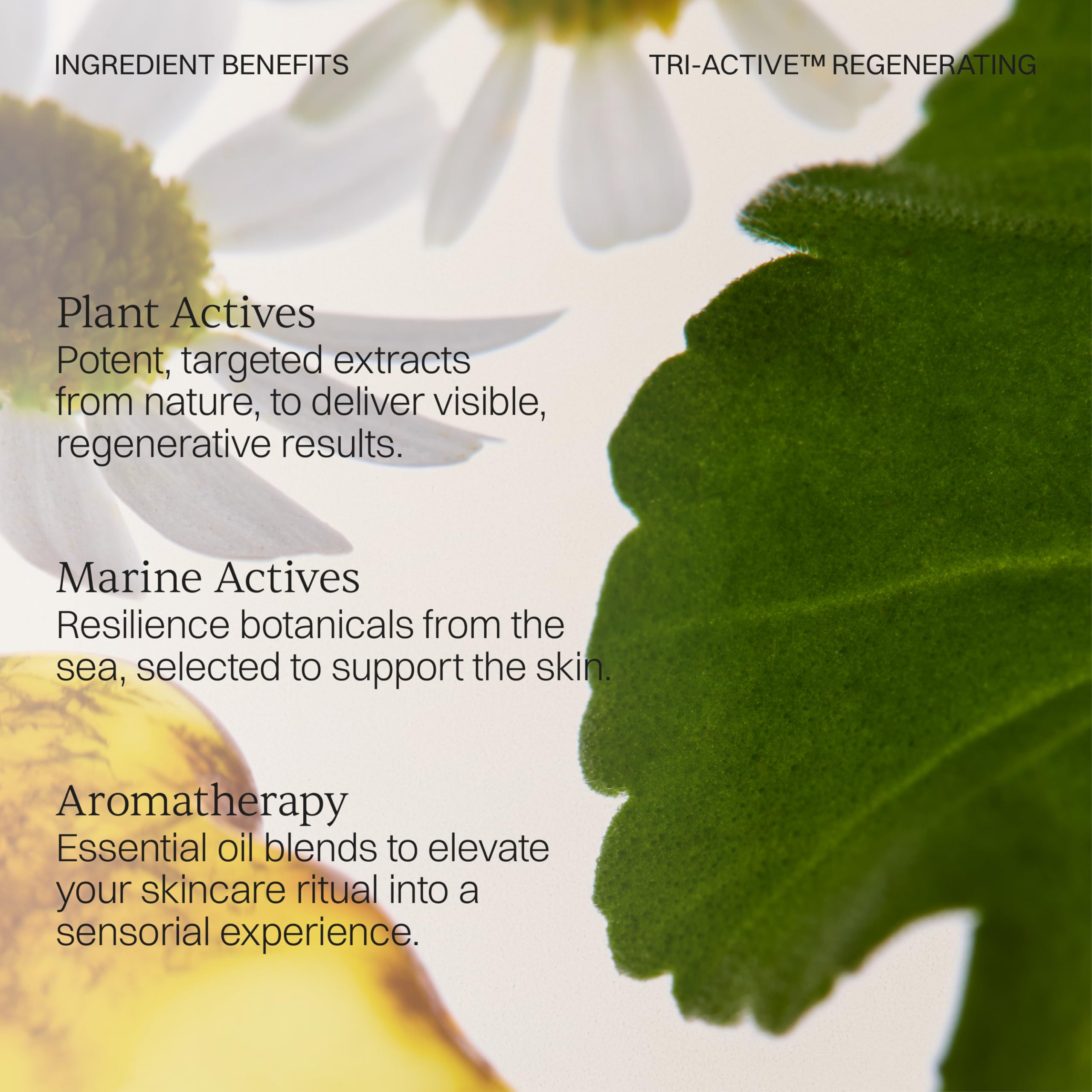Tri-Active™ Regenerating Nourishing Facial Oil