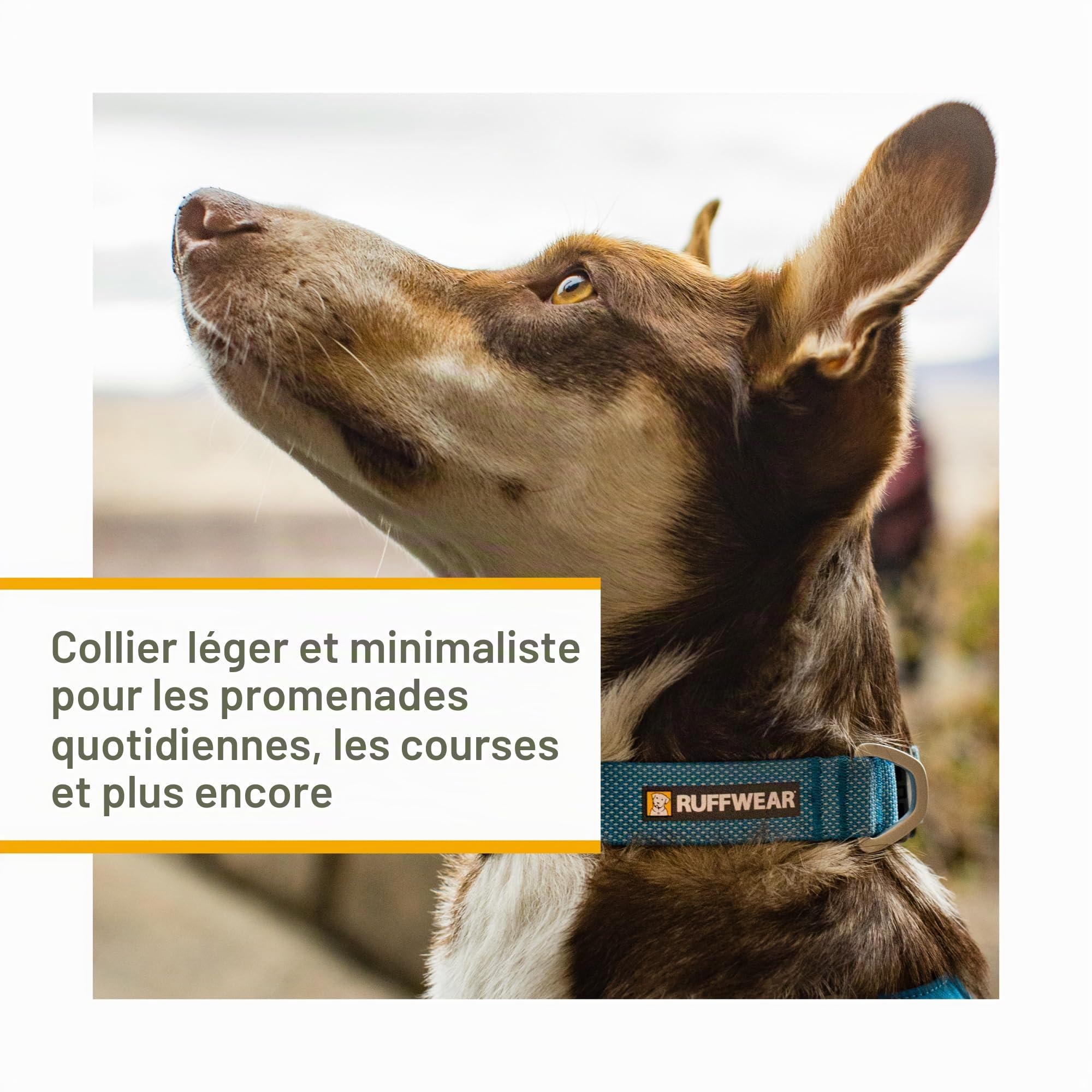 RUFFWEAR Collier pour Chien Hi & Light, Ultra Solide et léger, Anneau de Fixation de la Laisse en Aluminium et Boucle à Ouverture latérale, Accessoire élégant pour Le Cou, Basalt Grey 14"-20"